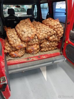 Rozvoz brambor, cibule, doprava zdarma - 3