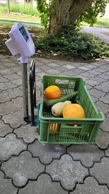 Digitální můstková váha TCS do 150kg 30x40cm 20g s opěrkou - 3