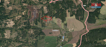 Prodej lesa, 4993 m², Jetětice - 3