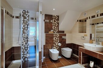 Pronájem zařízeného bytu 3kk 120m2 - 3