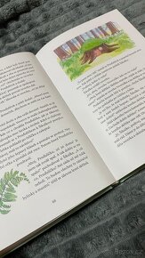 Skřítkové - Jana M. Brůžková - 3