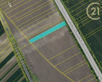 Prodej zemědělských a investičních pozemků ve Velkých Pav... - 3