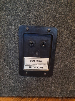 Reprobox DEXON DS250 200W 8Ohm - 3