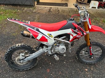 Pitbike WPB 140 - 3