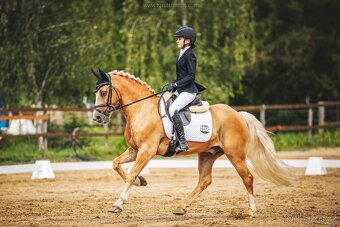Pony B do drezury - 3