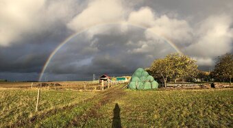 Seno, senáž, doprava - 3