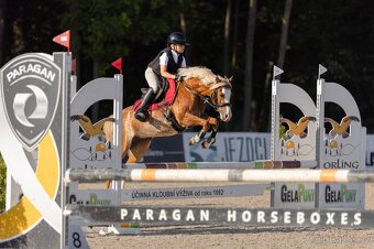 pony A - Vanilka - sen každé princezny - 3