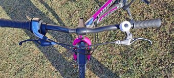 Author Ultima 24" - TOP STAV - 3