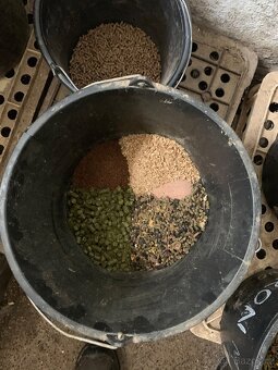 Ustájení Praha 4 - Písnice - 3