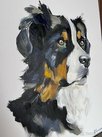 Obraz olejomalba na plátně český horský pes, 30x40 cm - 3