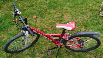 Sundance Alu 240 MTB 2013 - 3