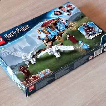 LEGO 75958 Kočár z Krásnohůlek: Příjezd do Bradavic - 3