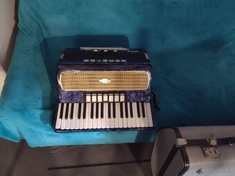 Harmonika Delicia - 3