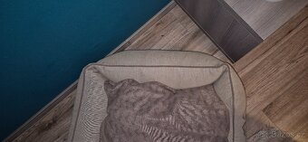 Pelech Kiwi Walker 4Elements Fire Sofa Bed cihlová XL 120cm - 3