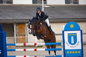 Prodám sportovního koně - klisnu 9 let. - 3
