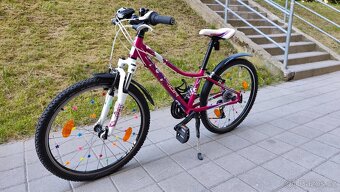 Dívčí kolo SUPERIOR XC24 PAINT violet/pink/white - 3