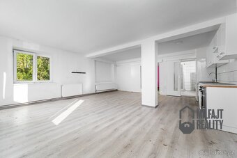 Prodej pozemku 36.850 m², Hamr na Jezeře - Břevniště - 3