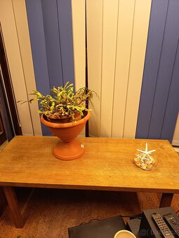 Konferenční stůl - 3