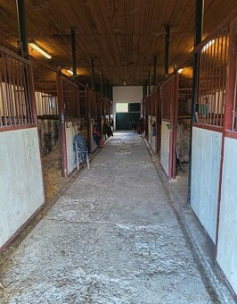 Ustájení - 3