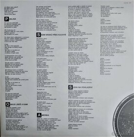Slávek Janoušek – Odkud jdeš a kam ( LP ) - 3