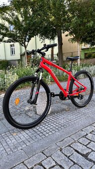 Kolo Rockrider ST 100🔥 Ram L 🧍♂️🧍♀️Kola 27.5🛞 - 3