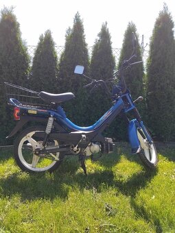 Manet korado - 3