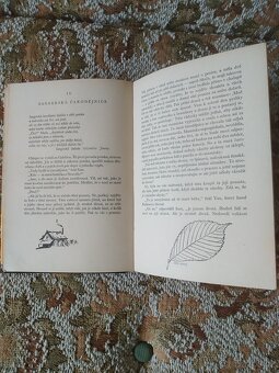 Prodám knihu Dva divoši - 3