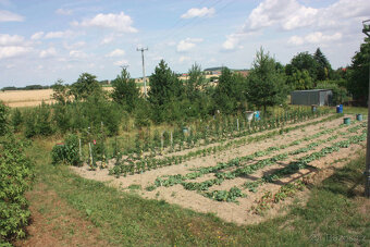 Prodej obec Vidice u Kutné Hory, pozemek, zahrada 1.478 m2 - 3