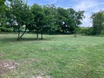 PRONAJMU, pozemek 8.000m2 asi 15 minut od Prahy - 3