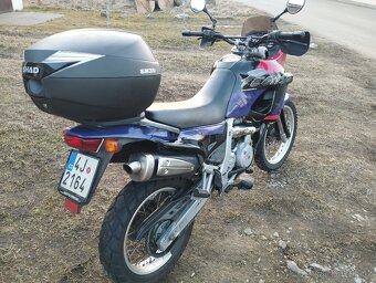Aprilia Pegaso 650 - 3