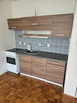 Pronájem bytu 1+kk s balkónem, Holý vrch - 3