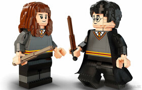LEGO 76393 Harry Potter™ Harry Potter a Hermiona Grangerová - 3
