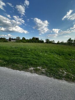 Pronájem pozemku 10300 m² Jizbice - 3