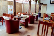✅100KS Hotelove kreslo, kavarna kresla restaurace✅ - 3