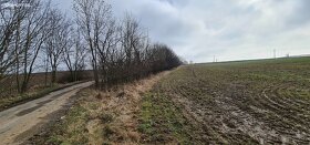 Prodej zahrady 140 m² Oleška - 3
