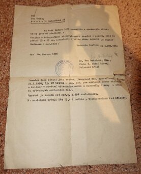 Olejomalba - Krajina s telegrafními sloupy (1934) s posudkem - 3