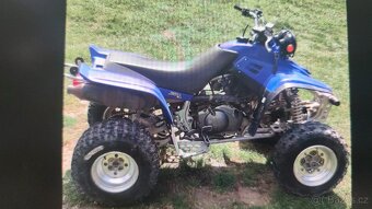Yamaha Warrior YFM 350 2003 - 3
