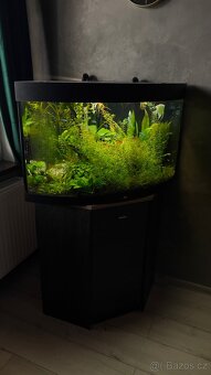 Akvarijní set - 3