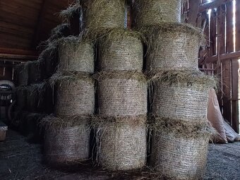 Seno, letošní, malé kulaté balíky, v síti - 3