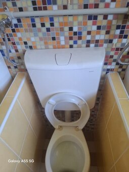 prodáM dětské klozety, záchody, WC - 3