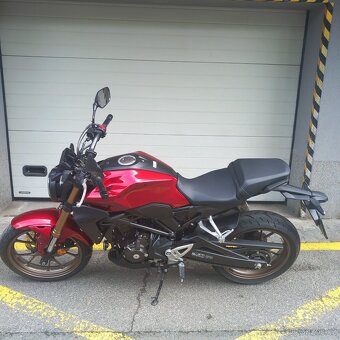 Honda CB300R Neo Sports Cafe - 3