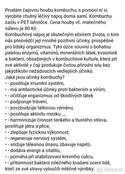 Kombucha - 3