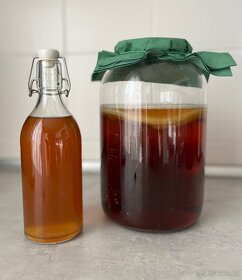 Kombucha násada i nápoj - 3