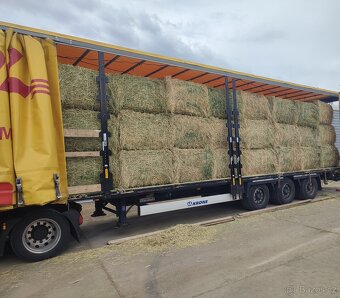 Vojtěška / Vojtěškové seno - 3