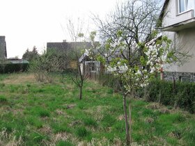 Zahrada - Stavební pozemek - 3