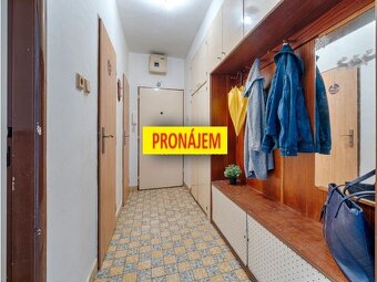Pronájem bytu 2+1 Bučovice - 3