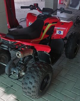 Dětská čtyřkolka CFMOTO Gladiator X110 - 3