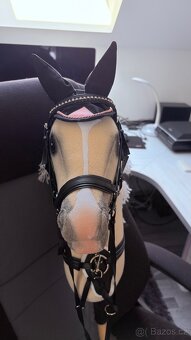 Hobby Horse - 3