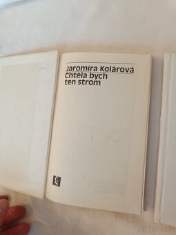Česká próza 20. století – Hrabal, Olbracht, Vančura, ... - 3