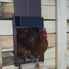 Automatická dvířka kurníku na světelný senzor, nová. - 3